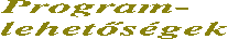 Programlehetsgek